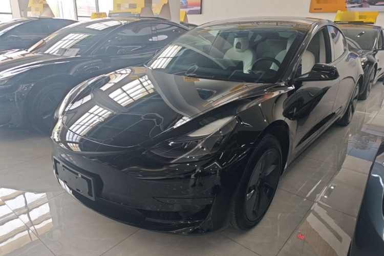 Tesla Model 3 2023 #2 Tesla Model 3 2023 car image #2