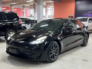 Tesla Model 3 2021 Tesla Model 3 2021 car image