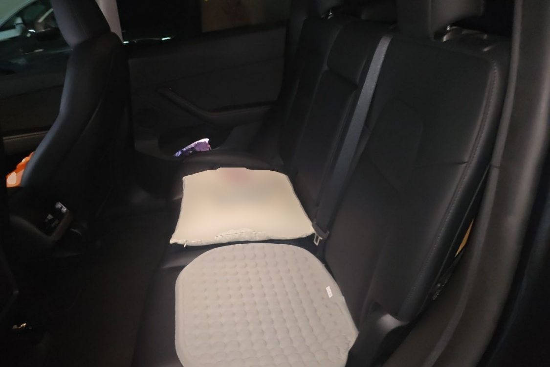 Tesla Model Y 2024 #21 Tesla Model Y 2024 car image #21