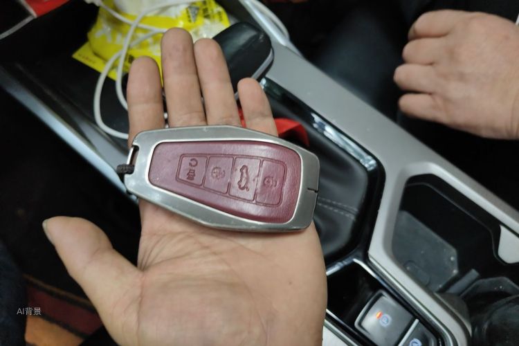 GEELY Emgrand 2022 immagine di auto #10