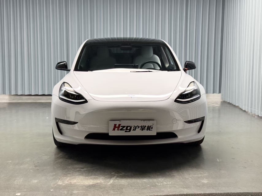 Tesla Model 3 2022 car image #3