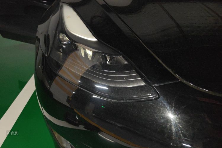 Tesla Model 3 2021 immagine di auto #8