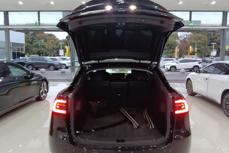 Tesla Model Y 2021 car image #19