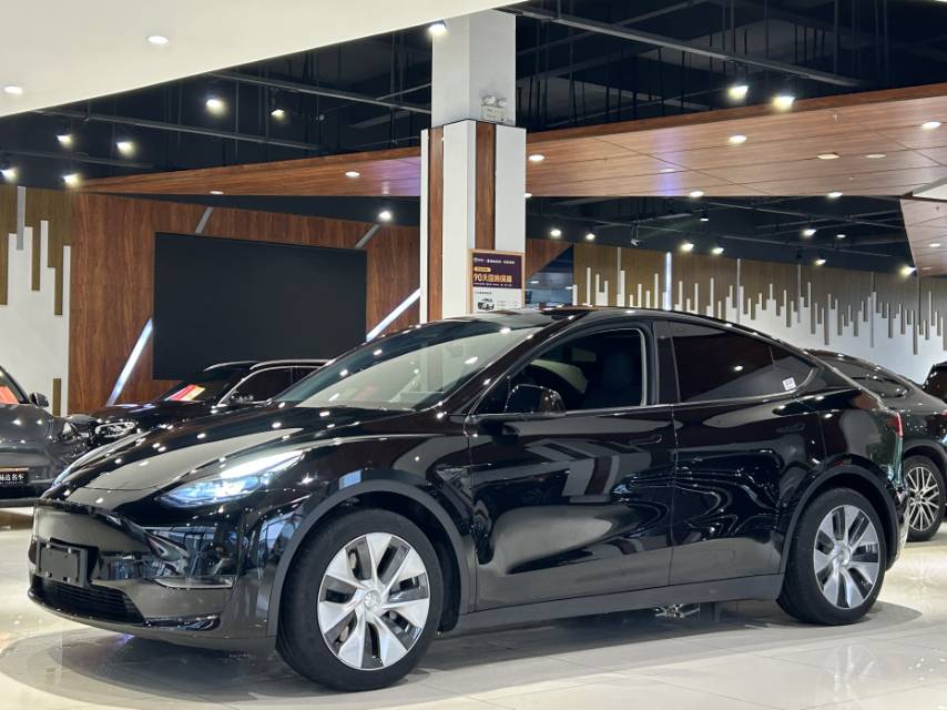 Tesla Model Y 2021 Tesla Model Y 2021 car image