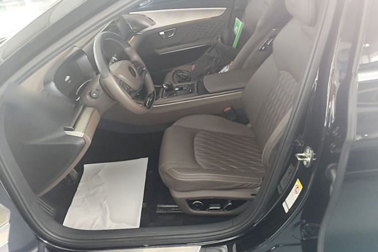 BYD Han 2023 car image #19