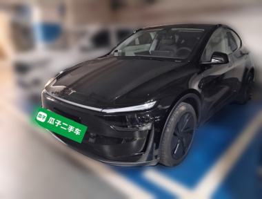 Tesla Model Y 2025 car image 