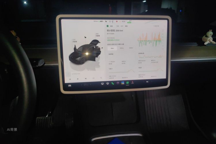 Tesla Model Y 2023 #15 Tesla Model Y 2023 car image #15