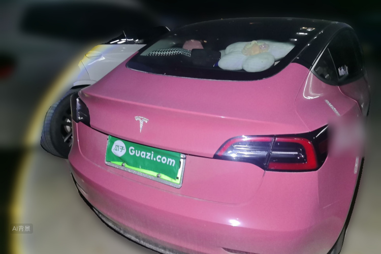 Tesla Model 3 2022 car image #6