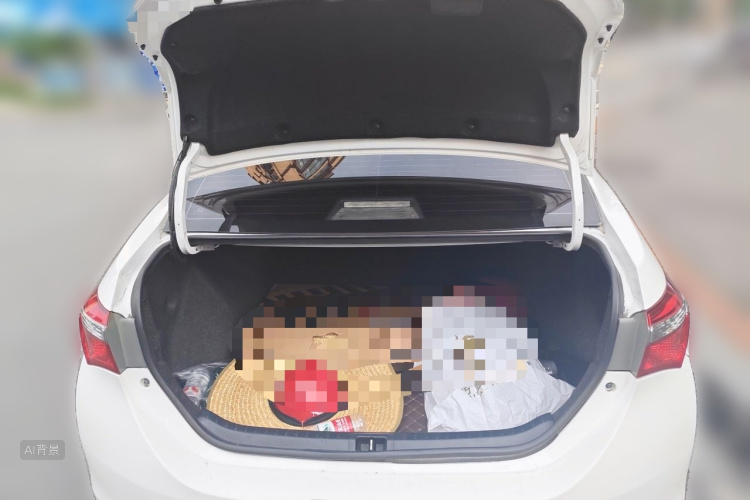 Toyota Corolla 2019 #21 Toyota Corolla 2019 car image #21