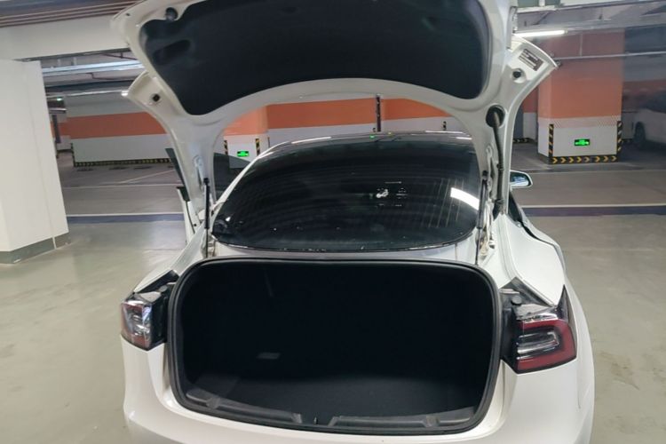 Tesla Model 3 2020 #21 Tesla Model 3 2020 car image #21