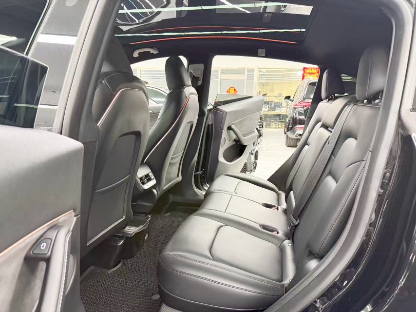 Tesla Model Y 2023 car image #6