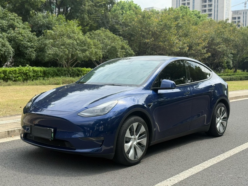 Tesla Model Y 2021 Tesla Model Y 2021 car image