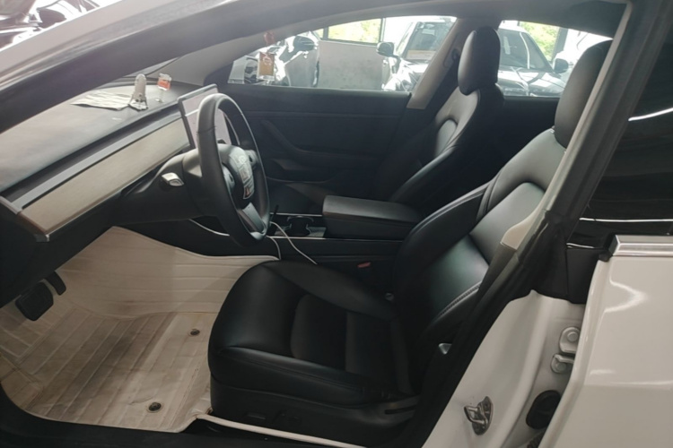 Tesla Model 3 2020 car image #19