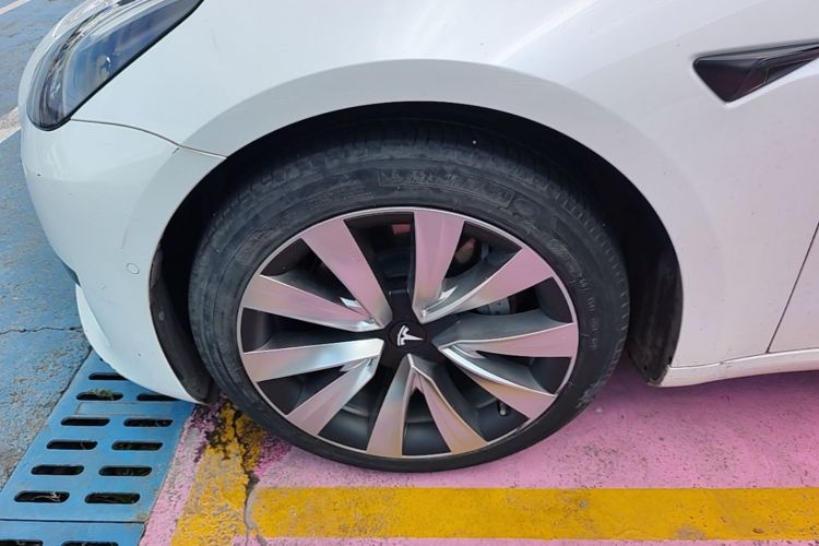 Tesla Model 3 2021 #9 Tesla Model 3 2021 car image #9