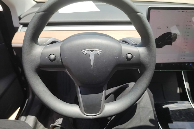 Tesla Model 3 2020 car image #11