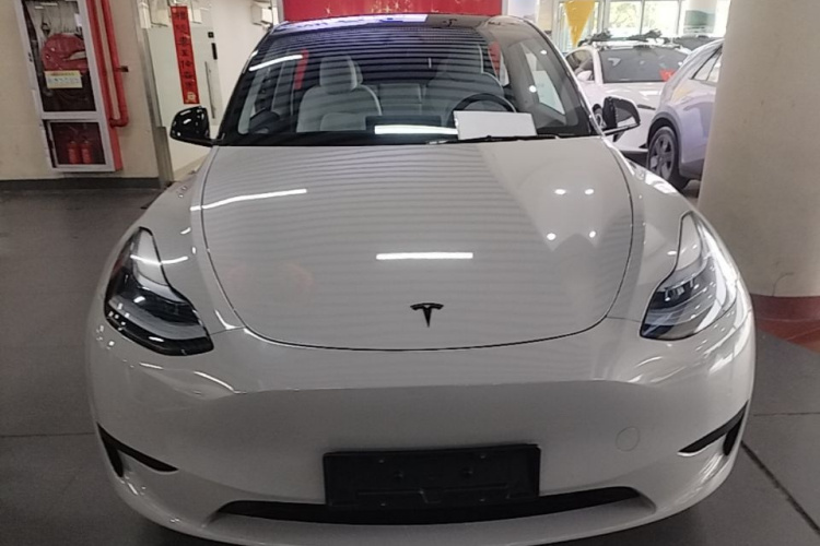 Tesla Model Y 2023 #3 Tesla Model Y 2023 car image #3