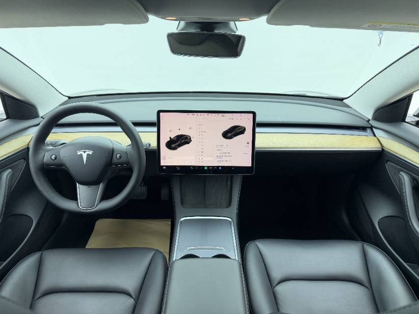 Tesla Model 3 2021 #5 Tesla Model 3 2021 immagine di auto #5