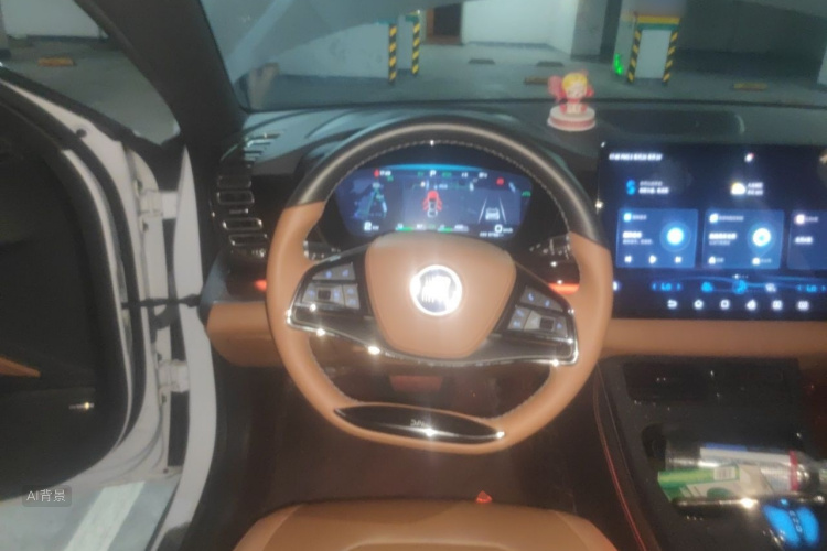 BYD Han 2022 car image #12