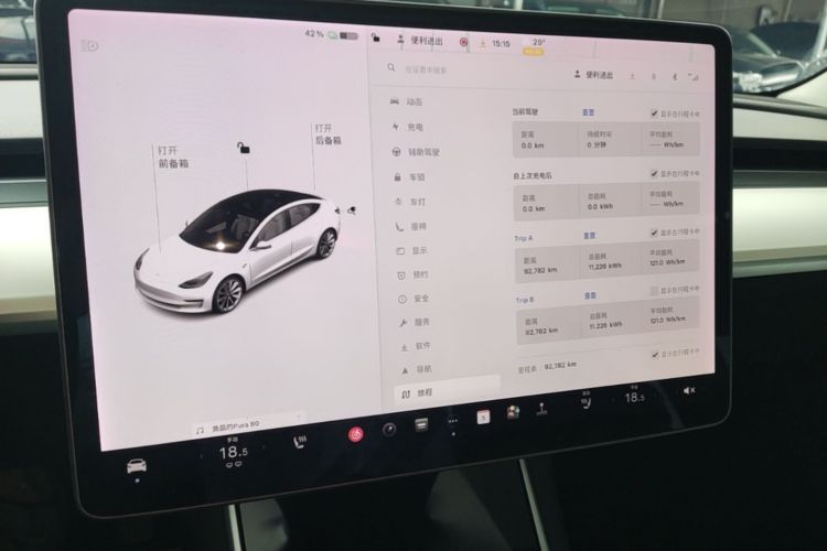 Tesla Model 3 2020 car image #12