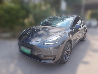 Tesla Model Y 2024 car image 