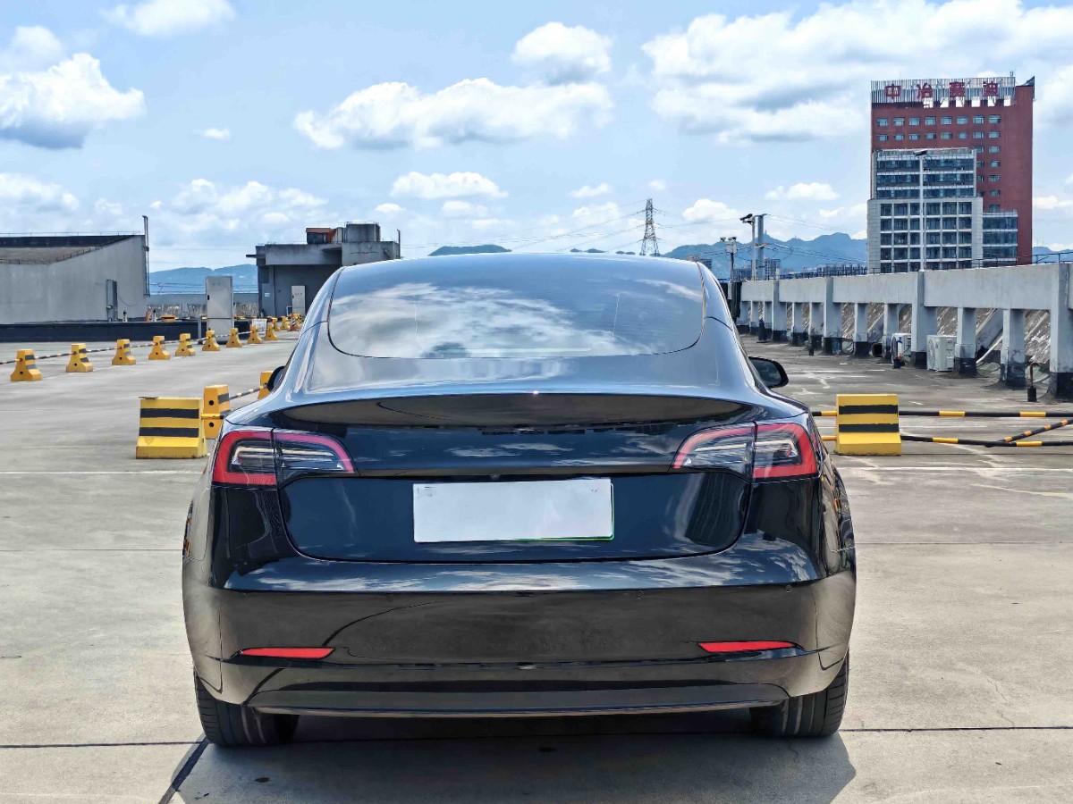 Tesla Model 3 2022 car image #3