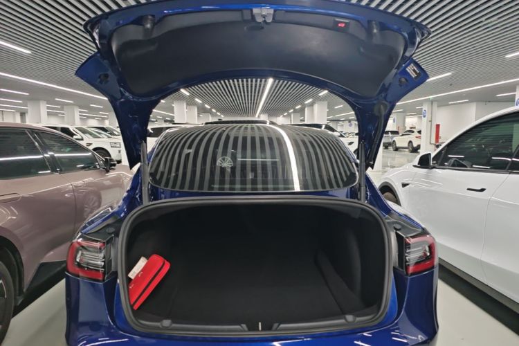 Tesla Model 3 2020 car image #19