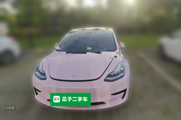 Tesla Model 3 2020 car image #3