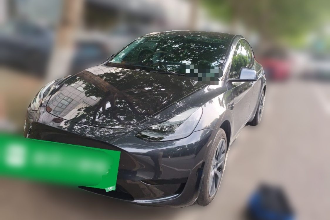 Tesla Model Y 2024 Tesla Model Y 2024 car image