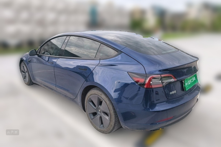 Tesla Model 3 2021 car image #5