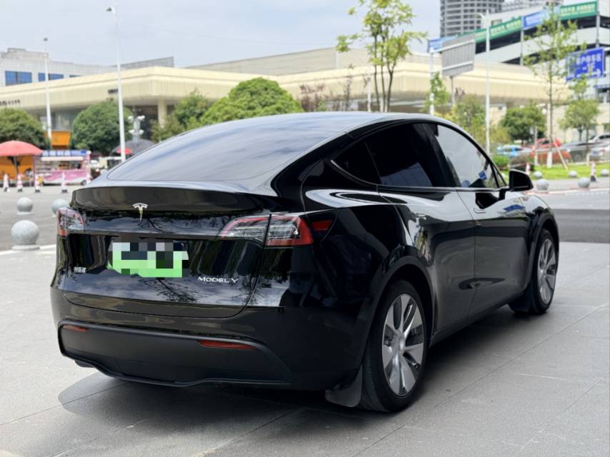 Tesla Model Y 2023 car image #6