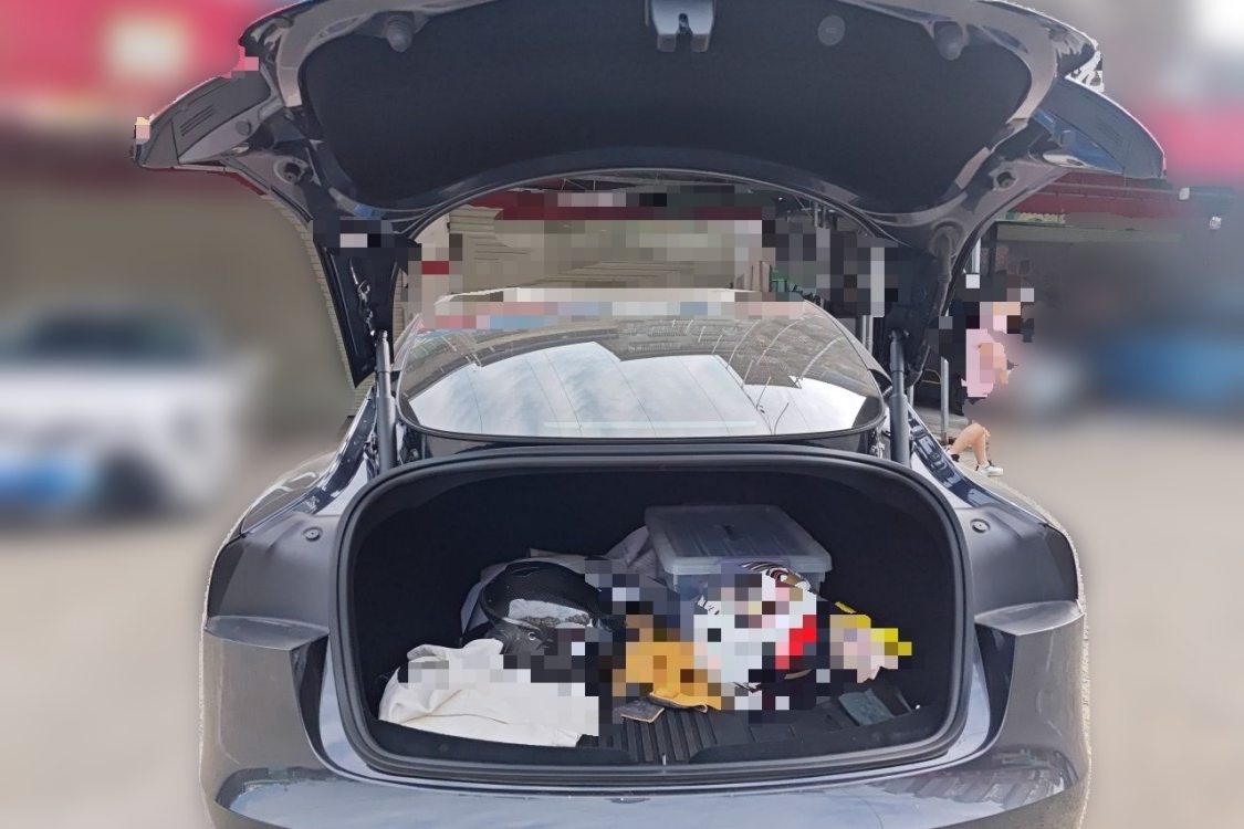 Tesla Model 3 2024 immagine di auto #8