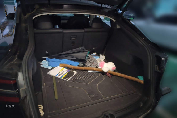 Tesla Model Y 2022 immagine di auto #21