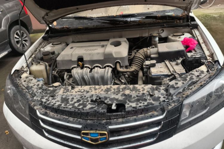 GEELY Emgrand 2016 car image #18
