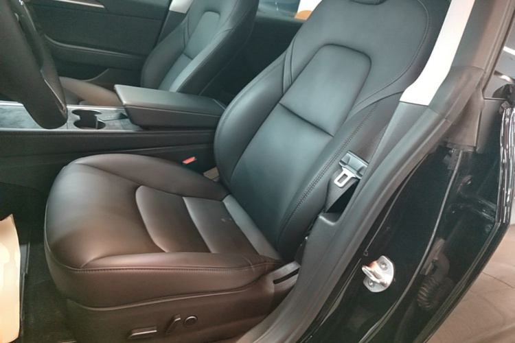 Tesla Model 3 2021 #19 Tesla Model 3 2021 immagine di auto #19