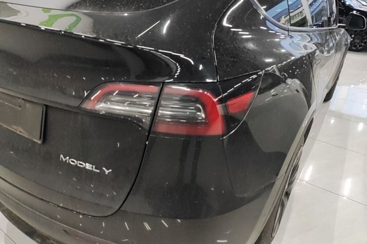 Tesla Model Y 2023 #8 Tesla Model Y 2023 car image #8