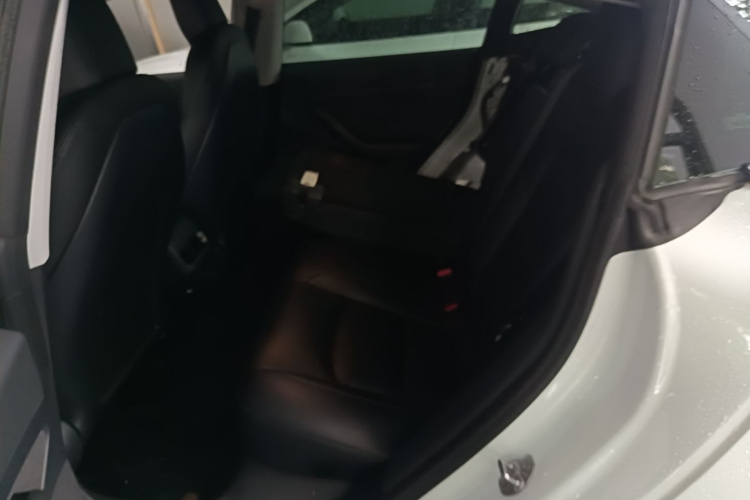 Tesla Model 3 2020 immagine di auto #17