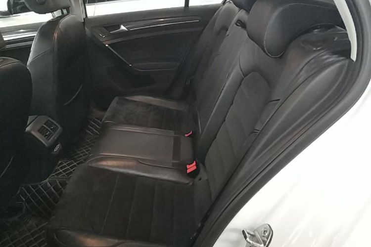 Volkswagen Golf 2019 #17 Volkswagen Golf 2019 car image #17