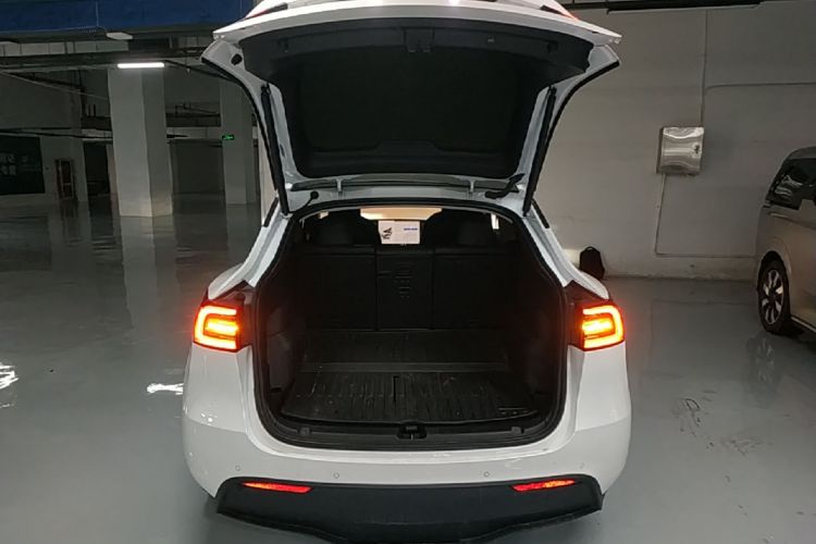 Tesla Model Y 2024 car image #19