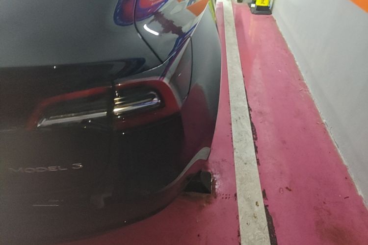 Tesla Model 3 2021 car image #8