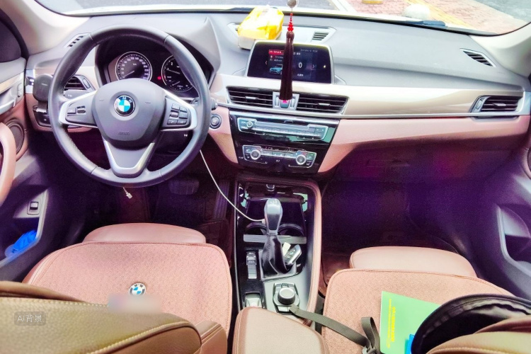 BMW X1 2019 car image #11
