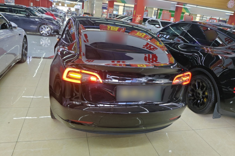 Tesla Model 3 2023 #6 Tesla Model 3 2023 car image #6