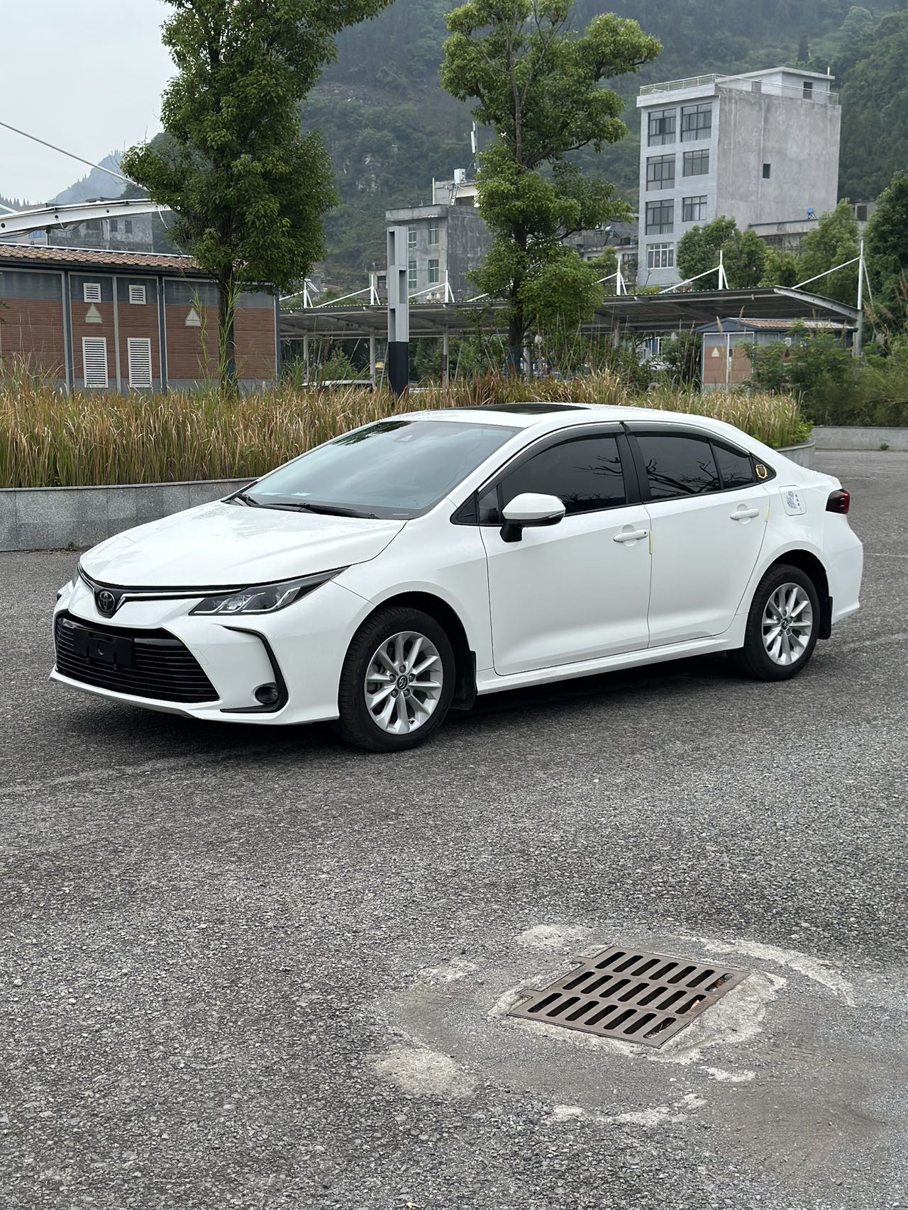Toyota Corolla 2021 Toyota Corolla 2021 car image