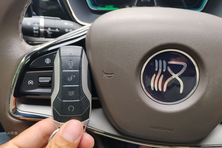 BYD Han 2022 immagine di auto #10