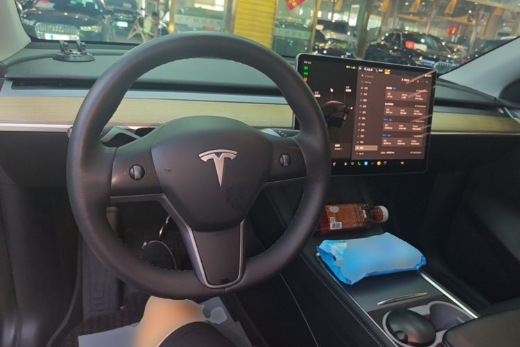 Tesla Model Y 2022 car image #10