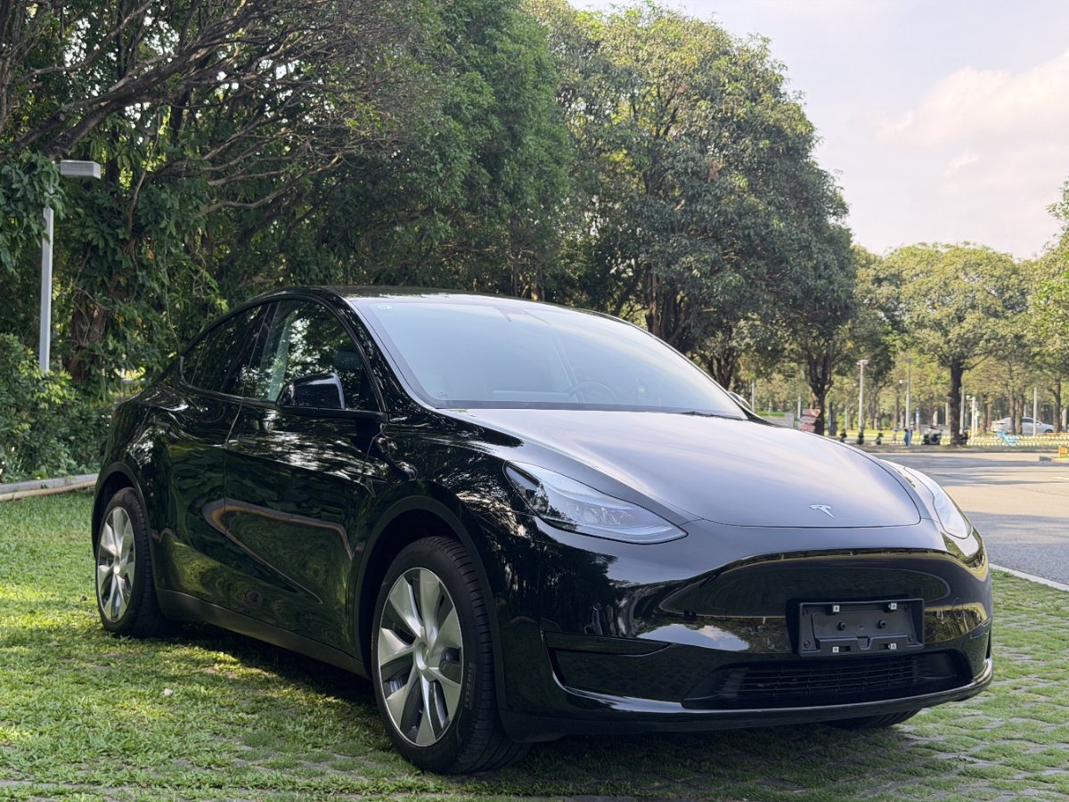 Tesla Model Y 2023 car image #2