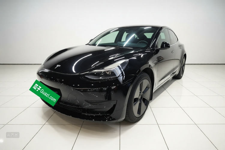 Tesla Model 3 2023 #2 Tesla Model 3 2023 car image #2