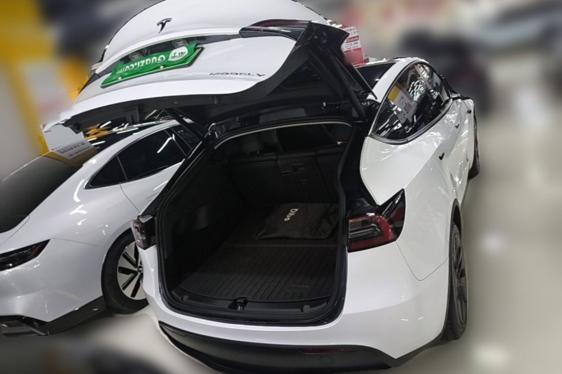 Tesla Model Y 2024 car image #10