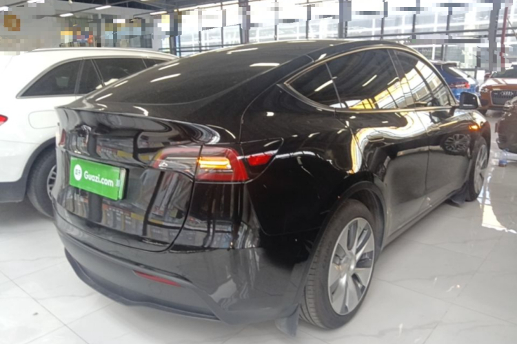 Tesla Model Y 2021 car image #7
