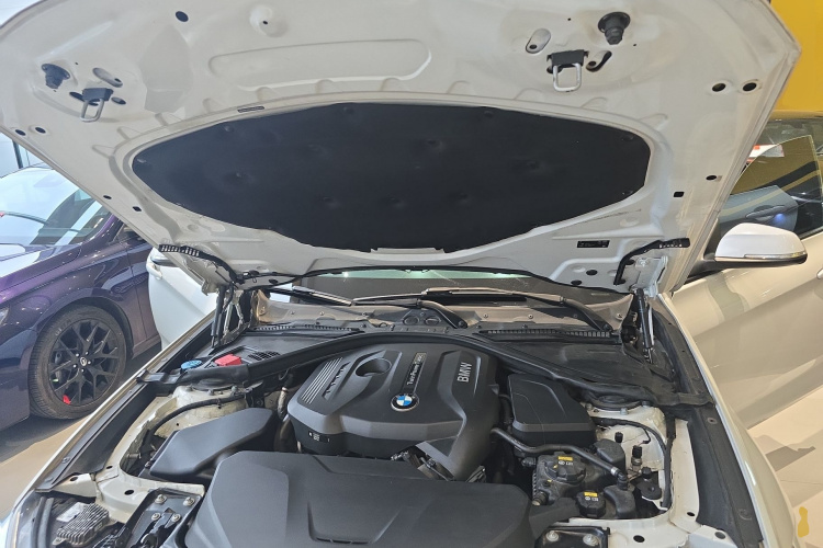 BMW 3 Series GT 2018 car image #20