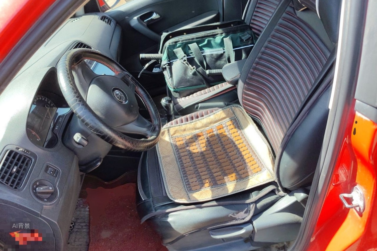 Volkswagen Polo 2017 car image #17